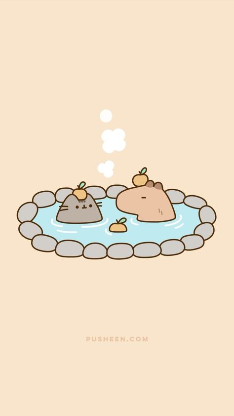 🧡 ♨️ 🍊 #Pusheen #Capybara | Instagram Cute Capybara Wallpaper, Capybara Wallpaper, Pusheen Merchandise, Baby Capybara, Pusheen The Cat, Pusheen Cute, Cute Capybara, Ipad Laptop, Cute Animal Drawings Kawaii