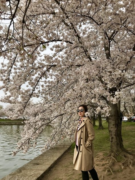 Sakura Season Outfit, Amusment Parks Outfit Fall, Jeju Outfit Ideas, Japan Sakura Season Outfit, Japan Spring Outfit Cherry Blossoms, Cherry Blossom Photoshoot Outfit, Japan Cherry Blossom Outfit, Cherry Blossom Outfit Ideas, Blossom Outfit Ideas