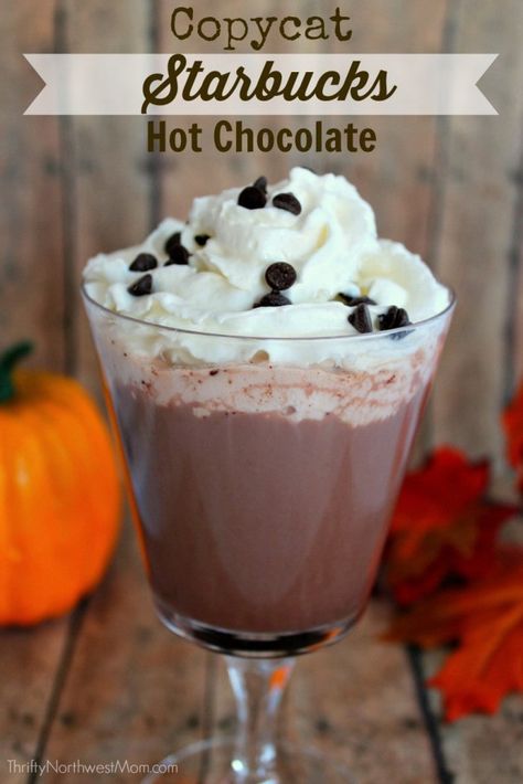 Copycat Starbucks Drinks, Starbucks Hot Chocolate, Chocolate Drink, Cocoa Recipes, Starbucks Copycat, Chocolate Bomb, Hot Chocolate Recipes, Cat Recipes, Chocolate Drinks