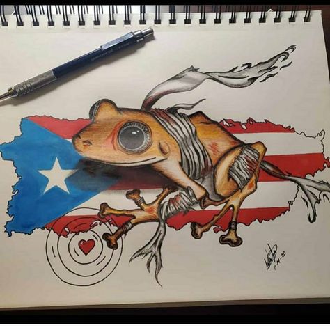 Boricua Tattoos, Puerto Rican Art, Puerto Rico Tattoo, Puerto Rican Artwork, Arm Sleeve Tattoos For Women, Flag Drawing, Puerto Rico Pictures, Puerto Rico Art, Puerto Rican Flag