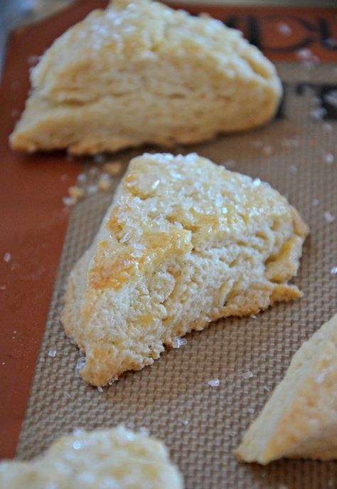 Scones Savory, Vanilla Bean Scones, High Altitude Baking, Mountain Mama, Vanilla Recipes, Sweet Roll, Scone Recipe, Savory Recipes, High Altitude