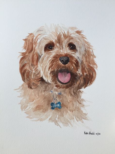 “Josie” watercolor by Kate Heald, 8 x 12”, October, 2018 Cavapoo Drawing, Cavapoo Illustration, Cavapoo Painting, Cavapoo Cartoon Drawing, Willow Painting, Watercolour Cats, Cockapoo Watercolour, Cockapoo Painting Acrylic, Goldendoodle Art