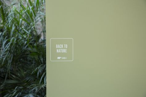 Back To Nature Behr Paint, Behr Back To Nature, Garage Paint Colors, Garage Paint, Green Wall Color, Behr Colors, Napa California, House Updates, Behr Paint