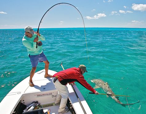 Sharks are big, bad, and a blast to catch on a fly rod. Fishing Photos, Fishing Pictures, Surf Fishing, Shark Fishing, Fish Illustration, Fishing Techniques, Fishing Guide, Fishing Girls, Pier Fishing