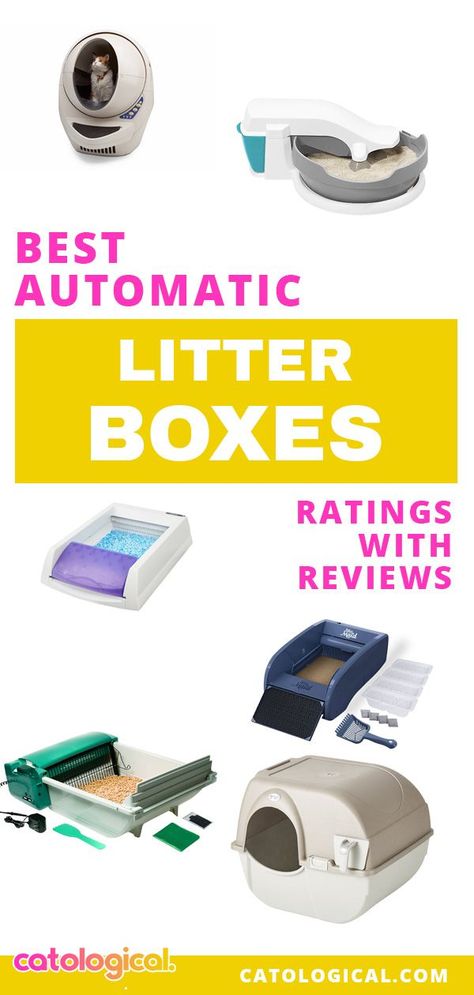 Kittens Care, Automatic Litter Box, Self Cleaning Litter Box, Cat Gym, Cleaning Litter Box, Best Cat Litter, Best Cat Food, Cat Litter Box Furniture, Cat Enclosure