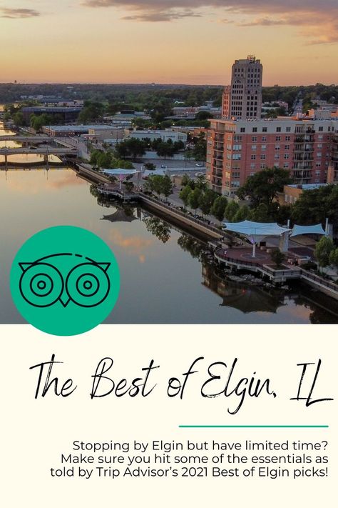 See Trip Asvisor's top picks for attractions, food and lodging for Elgin Illinois in 2021. Elgin Illinois, Holiday Specials, Public Library, Outdoor Activities, Illinois, Trip Advisor, Things To Do, Water, Books