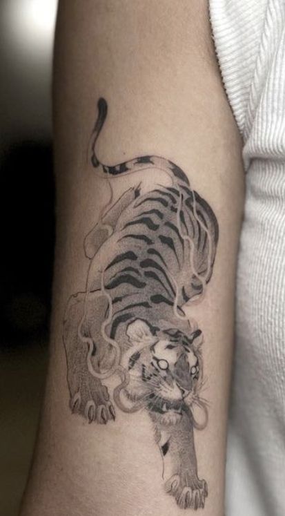 Tiger Tattoo Illustration, White Tiger Tattoo Men, Tiger Tattoo Aesthetic, Stomach Tiger Tattoo, Asian With Tattoos, Snow Leopard Tattoo Design, Aesthetic Tiger Tattoo, Tiger And Lion Tattoo, Women Tiger Tattoo