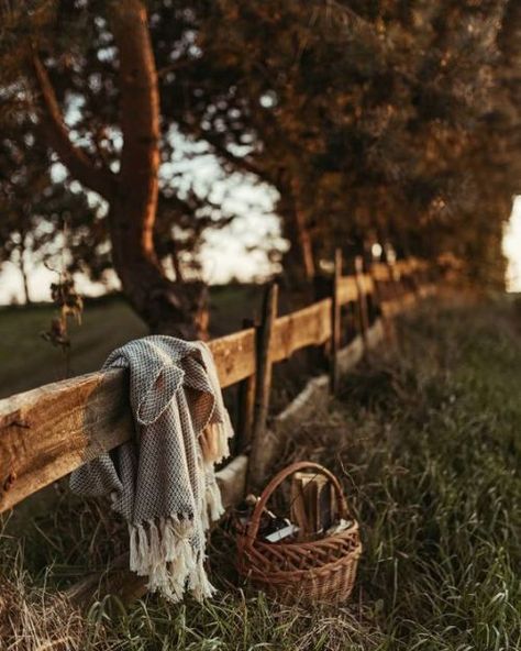 Anne With An E, Half Baked Harvest, Foto Tips, Autumn Aesthetic, The Grass, A Blanket, Country Life, Country Living, Farm Life