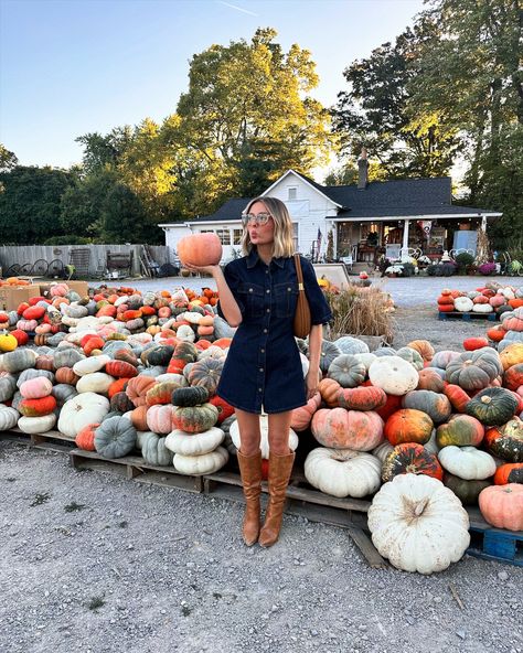 Davro Mini Dress Dark Wash Denim curated on LTK Pumpkin Patch Photo Ideas, Patch Outfit, Pumpkin Patch Outfit, Fashion Fall, Dark Wash Denim, Gilmore Girls, Everyday Style, Pumpkin Patch, Knee High Boots