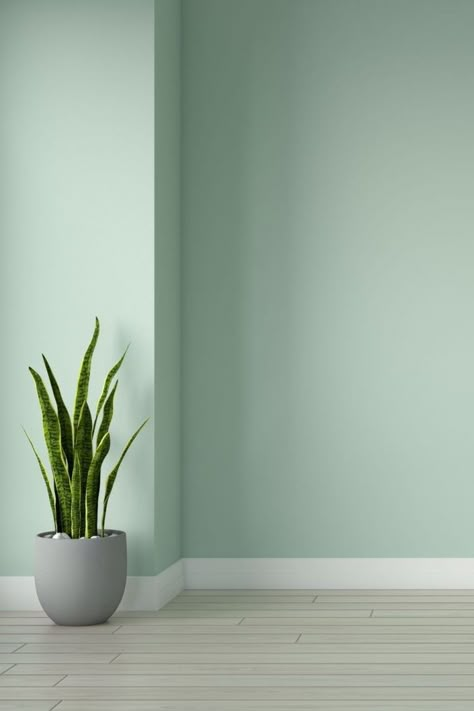 Oak Floor with Pistachio Green Wall Color Bedroom Wall Colour Combination, Room Color Ideas Bedroom, Home Wall Colour, Light Green Walls, Green Wall Color, Green Painted Walls, Yellow Bathroom Decor, Mint Green Walls, Mint Walls