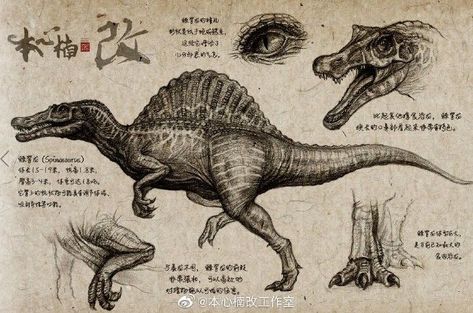 Spinosaurus Drawing, Spinosaurus Art, Dino Drawing, Dinosaur Sketch, Dinosaur Posters, Dinosaur Pictures, Dinosaur Drawing, Animal Drawings Sketches, Dinosaur Illustration