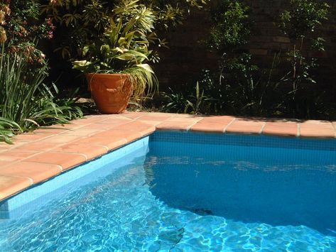 pool terracotta tile - Ecosia - Images Pool Paving, Saltillo Tile, Terracotta Tile, Pool Renovation, Pool Coping, Terracotta Tiles, Pool Tile, Pool Deck, Pool Area