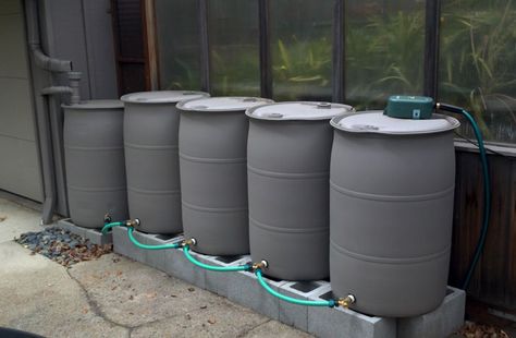 Painted Rain Barrels, Portland, OR Water Barrel Storage, Rain Water Barrel, Rain Barrel System, Rain Barrels, Water Barrel, Rain Water Tank, Rain Collection, Water Tanks, Backyard Remodel