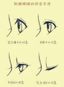 Drawing Trends, Latest Drawing, How To Draw Anime Eyes, Realistic Eye Drawing, Drawing Designs, How To Draw Anime, Manga Eyes, Tutorial Drawing, Manga Tutorial