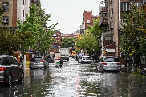 Sponge City, Flash Flood, Urban Heat Island, Sewage System, Water Bodies, Rain Garden, Climate Action, Rural Area, Urban Farming