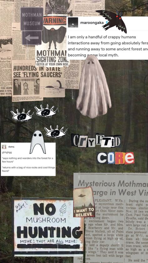 #cryptid #cryptidcore #aesthetic #mothman #ufo #spooky #goblincore #tumblr Mothman Aesthetic, Goblincore Tumblr, European Gothic, Cryptidcore Aesthetic, Cryptid Core, When The Night Falls, Oc Aesthetic, Dipper Pines, Goblin Core