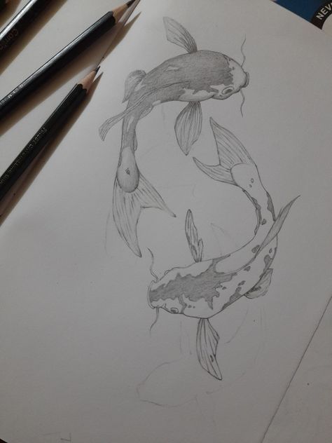 Koi fish Sketch Book Koi Fish, Japanese Coy Fish Drawing, Drawing Coy Fish, Koi Fish Sketches, Kio Fish Drawing, Coy Fish Drawing Simple, Koi Art Drawing, Koy Fish Paintings, Koi Fish Drawing Sketches