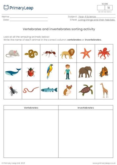 This year 4 colourful science worksheet asks children to name 18 different animals and write them in the correct column - vertebrates or invertebrates. Vertebrates And Invertebrates Worksheets, Penguin Research, Ocean Reading, Polar Bear Facts, Where Do I Live, Giraffe Facts, Ks2 Science, Animals Reading, Vertebrates And Invertebrates