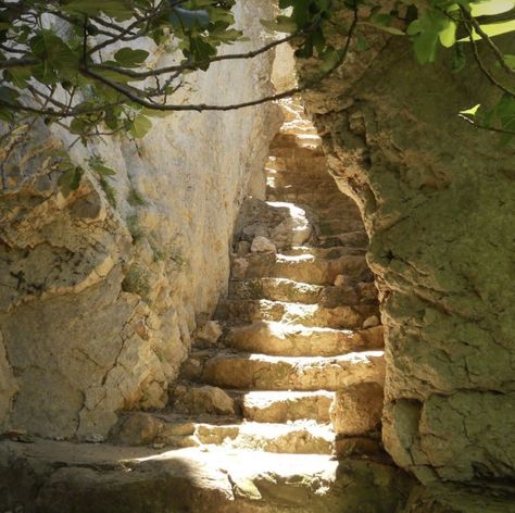 Stairs To Heaven, Rings Of Power, Color Studies, Holiday Vacation, Olive Tree, Staircases, Middle Earth, Photo Reference, The Rings