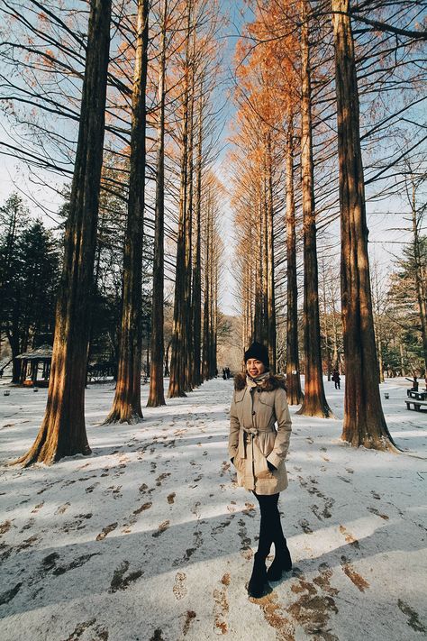 Nami Island Photo Ideas, Nami Island Winter, Keliling Dunia, Korea Photography, Korea Winter, Nami Island, Winter Photo, Korea Travel, Travel Photo