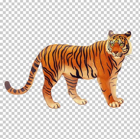 Javan Tiger, Tiger Drawings, Tattoos Tiger, Tiger Silhouette, Tiger Tattoos, Funny Tiger, Tiger Images, Animal Cutouts, Tiger Drawing