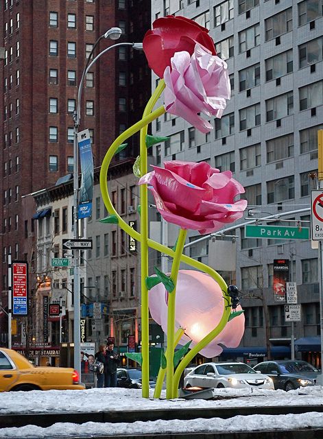 Artist Will Ryman, in conjuction with the NYC Department of Parks & Recreation and Paul Kasmin Gallery, installed 38 giant sculptures of rose blossoms in Park Avenue in 2010. Statement Hairstyles, Side Updo, Public Sculpture, Chihuly, City Street, Sculpture Installation, Park Avenue, Outdoor Art, Land Art