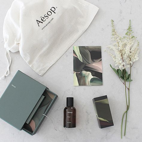 T.D.C: Aesop | Hwyl Eau de Parfum Aesop Hwyl, Aesop Packaging, معطر جو, Japanese Forest, Cd Box, Woody Scent, Skincare Packaging, Amber Glass Bottles, Packing Design