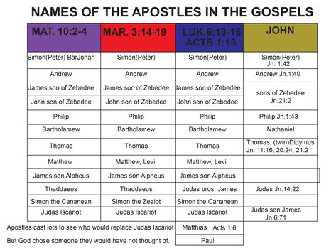 The names of the apostles from all four Gospels Twelve Disciples, Bible Charts, Simon Peter, 12 Apostles, Acts 1, Four Gospels, The Apostles, Bible Study Notes, Name Change