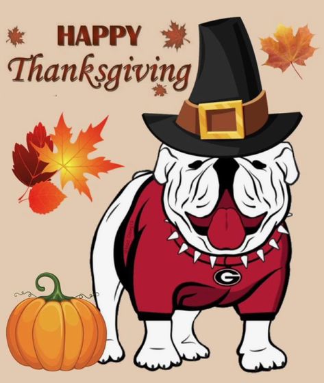 How Bout Them Dawgs, Uga Football, Ga Bulldogs, Georgia Bulldogs Football, Georgia Dawgs, Bulldogs Football, Georgia State, Thanksgiving Quotes, Dog Rules