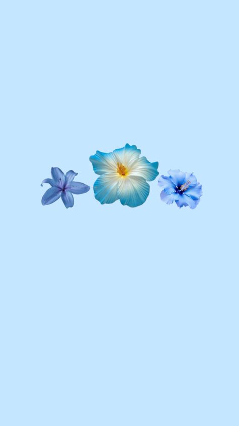 Hibiscus, Phone Wallpaper, Iphone Wallpaper, Blue, Flowers