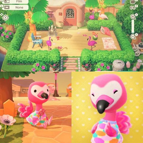 Flora Acnh Yard, Animal Crossing Summercore, Summercore Animal Crossing, Acnh Flora House, Flora Acnh, Flora Animal Crossing, Acnh Flora, Animal Crossing Neighborhood Ideas, 90s Themed Room