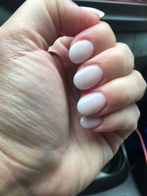 Short Gel Nails Funny Bunny, Round Nails Funny Bunny, Short Oval Nails Funny Bunny, Funny Bunny Powder Dip, Short Round Funny Bunny Nails, Round Funny Bunny Nails, Funny Bunny Round Nails, Opi Funny Bunny Dip Powder, Funny Bunny Dip Powder Nails