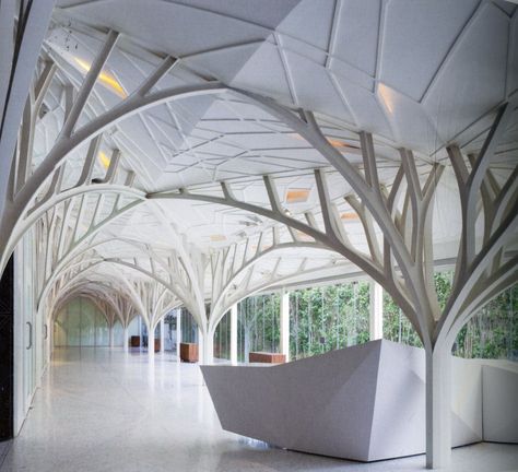 Fairyland? Serie Architects, Window Canopy, Tree Structure, Wooden Panelling, Beach Canopy, Canopy Architecture, Steel Trusses, Backyard Canopy, Crib Canopy