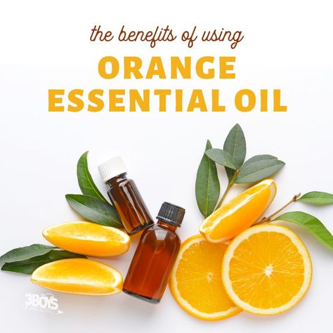 Orange essential oil, derived from the zest of the orange fruit, is a versatile and aromatic oil known for its uplifting and refreshing scent. This essential oil is extracted through cold pressing, which preserves its natural properties and rich concentration of active compounds like limonene. Learning about the benefits of orange essential oil is key … Benefits Of Orange Essential Oil, Orange Essential Oil Blends, Arts And Crafts Tiles, Wild Orange Essential Oil, Natural Cleaning Solutions, Sweet Orange Essential Oil, Aromatic Oils, Mood Enhancers, Wild Orange