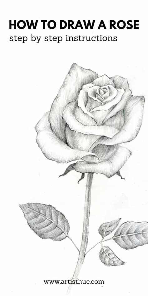 Easy to follow step by by step instruction how to draw a rose step by step #howtodrawarose #rose #howtodrawrose How To Sketch A Rose Step By Step, Sketches Of Roses Pencil, Realistic Rose Drawing Pencil, How To Draw A Realistic Rose, How To Draw A Realistic Flower, Roses Sketch Drawing, How To Draw Petals, Rose Drawing Simple Sketch, Rose Tutorial Drawing