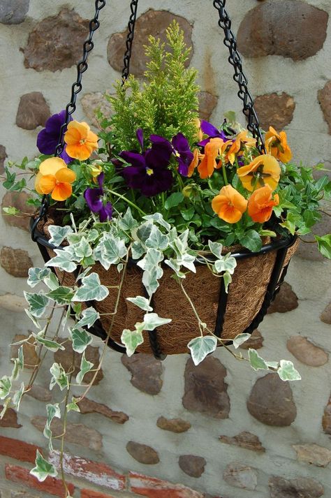 Best Garden Decor Ideas 2024 - Mini Garden Designs - Garden Decor Fall Hanging Baskets, Winter Hanging Baskets, Hanging Plants Diy, Fall Container Gardens, Winter Planter, Fall Containers, Hanging Flower Baskets, Plants For Hanging Baskets, Ivy Plants