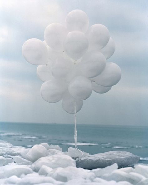 Whimsical Love Balloon, Bubble Balloons, Whisper White, White Balloons, Shades Of White, Pics Art, Winter White, Pure White, Creating Art