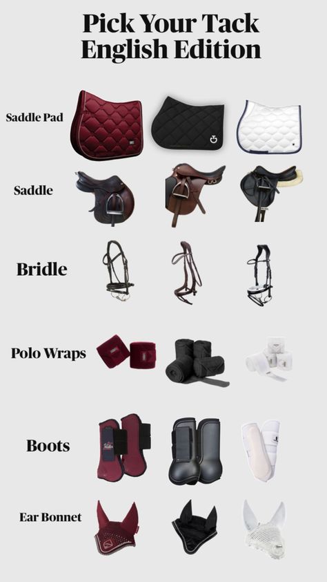 English Edition Horse Tack English, Riding Saddle, English Horse Tack, English Tack, Horse Riding Outfit, English Horse, English Riding, Riding Outfit, Saddle Pads