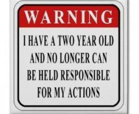 Lol yes! Parenting Issues, Terrible Twos, Man Of The House, Sarcasm Humor, Gentle Parenting, Toddler Life, Mommy Life, Quotes For Kids, Sign Quotes