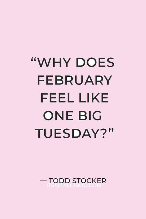 “Why does February feel like one big Tuesday?” ―  Todd Stocker with a pink background February Humor, February Word, Feb Quotes, Quotes About February, February Quotes Funny, February Captions, February Inspiration, Febuary Girl Asthetic, February 1st Quotes