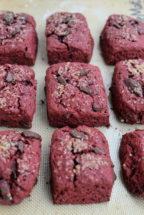 Red Velvet Chocolate Chunk Scones • Melinda Strauss Chocolate Chunk Scones, Red Velvet Chocolate, Cranberry Scones, Chocolate Bourbon, Laughing Emoji, Chocolate Chunk, Red Food Coloring, Desserts To Make, Bittersweet Chocolate