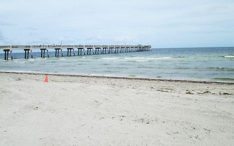 Dania Beach Florida, Broward County Florida, Beach Shopping, What To Do Today, To Do Today, Beach Shop, Weekend Trips, Beach Florida, Tourist Attraction