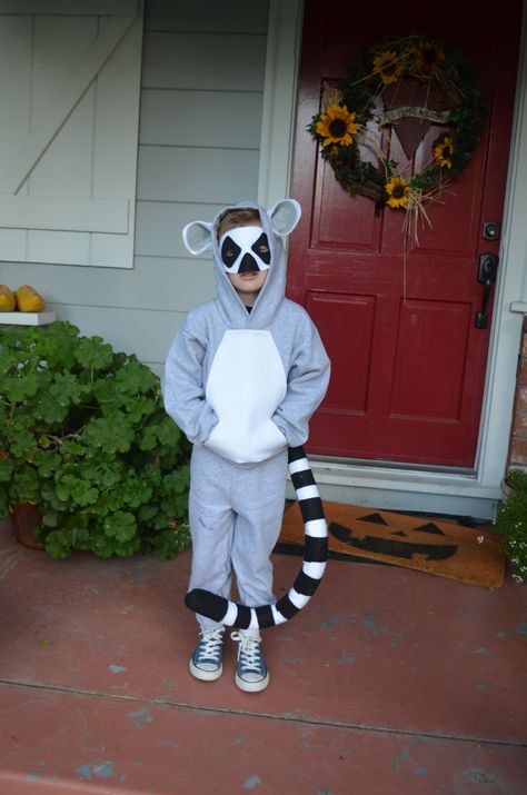 Ring-tailed Lemur - Gray Hanes sweats, white felt, black felt, gray felt, pipe insulation, a hangar, a plain white Mardi Gras mask, black converse tennis Lemur Costume Diy, Diy Zoo Animal Costume, Lemur Costume, Madagascar Costumes, Costumes For Sisters, Dyi Costume, Concert Costumes, King Julien, World Book Day Costumes