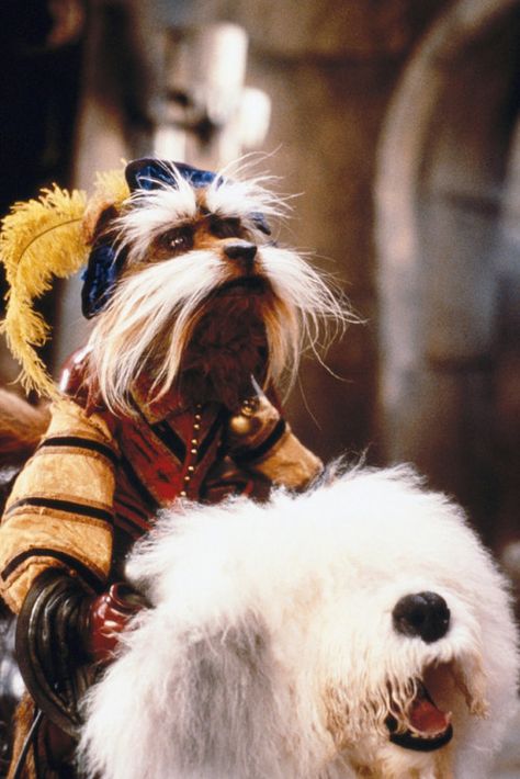 Labrynth Movie Aesthetic, Sir Didymus And Ambrosius, Sir Didymus, Labyrinth Goblins, Labyrinth Jareth, Jim Henson Labyrinth, David Bowie Labyrinth, Labyrinth Art, Bowie Labyrinth