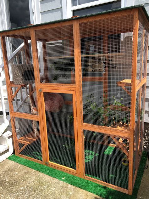 Cat Grass Indoor, Cat Catio, Diy Cat Enclosure, Outdoor Pet Enclosure, Cat Castle, Cat Fence, Cat Patio, Diy Cat Tree, Outdoor Cat Enclosure