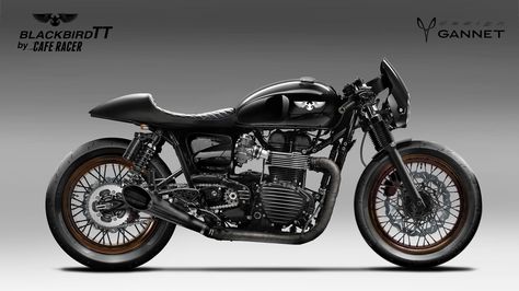 Thruxton 900 Blackbird TT Cafe Racer Black Cafe Racer, Triumph Thruxton 900, Thruxton 900, Triumph Cafe Racer, Bike Sketch, Cafe Seating, Triumph Thruxton, Cafe Racer Bikes, Brat Style