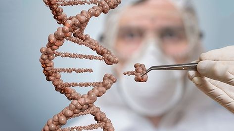 Gene editing || Image source: https://www.rte.ie/eile/brainstorm/2017/1115/920323-the-ethics-of-gene-editing/ Golden Rice, Dna Molecule, Human Dna, Genetic Engineering, Gene Therapy, Molecular Biology, Biotechnology, Health Risks, Primates