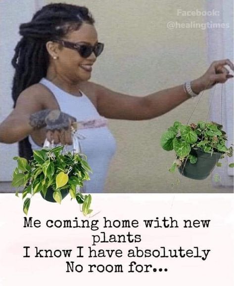 Lol Memes, Memes Funny, Indoor Plants, I Know, A Photo, Memes, Plants, On Instagram, Instagram