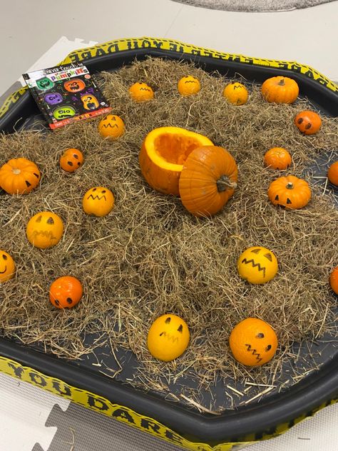 Autumn Sand Tray Ideas, Pumpkin Patch Tuff Tray, Halloween Eyfs Ideas, Pumpkin Tuff Tray Ideas, Pumpkin Tuff Tray, Harvest Festival Ideas Eyfs, Halloween Activities Eyfs, Halloween Eyfs Activities, Pumpkin Soup Activities