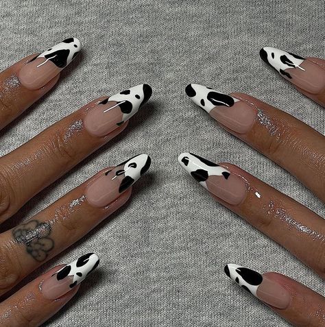 GEL-X NAILS (RIVERSIDE, CA) on Instagram: “still obsessed with cow print!! 🐮 #gelnails #gelxnails #gelxapres #apresgelx #après #riversidenails #inlandempirenails #nails…” Blue Cow Nails, Country Wedding Pictures, Nails For Summer, 2022 Nails, Cow Nails, Blue Cow, Nail Art Summer, Summer 2022, Summer Colors